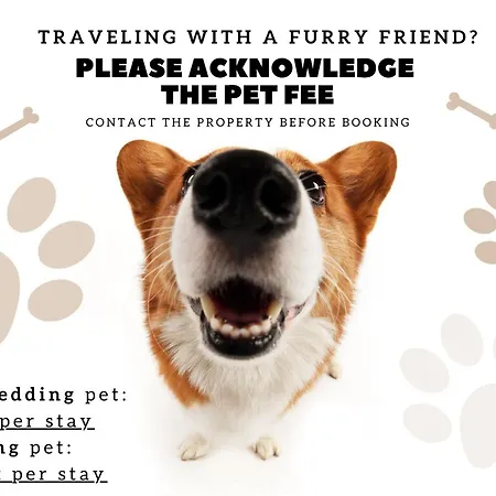 Oasis 82689 Al Appartement